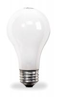 1CWX7 Incandescent Light Bulb, A19, 100W