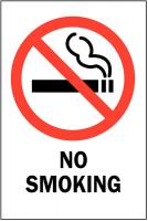 1D667 No Smoking Sign, 10 x 7In, R and BK/WHT