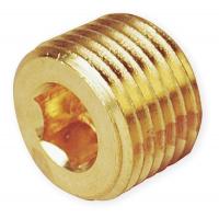 1DGU5 Hollow Hex Plug, Pipe Size 1/8 In