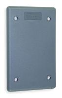 1DJL4 Cover Plate, Blank, 1 Gang, Gray