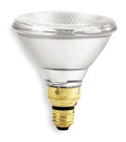 1E119 Halogen Floodlight, PAR38, 60W