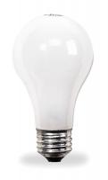 2EAP2 Incandescent Light Bulb, A19, 57W