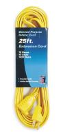 1FD58 Extension Cord, 25 Ft