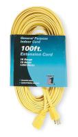 1FD60 Extension Cord, 100 Ft