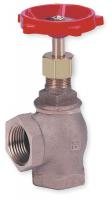 1JLF3 Angle Globe Valve, Class 125, 1 In., FNPT