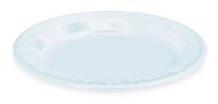 1JYY7 Foam Plates, White, Pk500