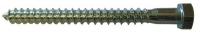 1LB74 Hex Lag Screw, 1/4x3 1/2 L, Pk 100