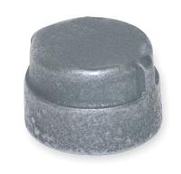 1LBP8 Cap, Galv Malleable Iron, 300 PSI, 1/4 In