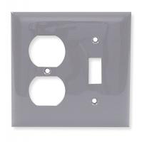 1LXR9 Wall Plate, 2Gang, Nylon, Gray