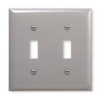 1LXY4 Wall Plate, Switch, 2Gang, Gray