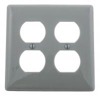 1LYA9 Wall Plate, Duplex, 2Gang, Gray