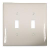 1LYD6 Wall Plate, Switch, 2Gang, White