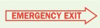 1NL29 Emergency Exit Sign, 3-1/2 x 10In, R/GRN