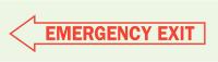 1NL31 Emergency Exit Sign, 3-1/2 x 10In, R/GRN
