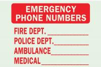 1NL34 Emergency Sign, 10 x 14In, R/GRN, ENG, Text