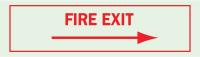 1NL50 Fire Exit Sign, 3-1/2 x 10In, R/GRN, ENG