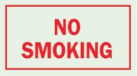 1NL67 No Smoking Sign, 7 x 10In, R/GRN, ENG, Text