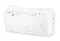 1NZ54 Full Size Chest Cooler, 150 qt., White