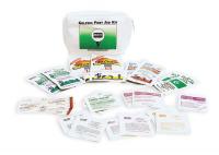 1PBR4 First Aid Kit, Golfer, Towlettes, Bandages