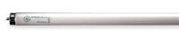 1PDD3 Fluorescent Linear Lamp, T8, Warm, 4100K