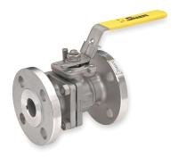 1PPT7 SS Ball Valve, Flanged, 2 In