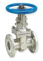 1PRG5 Gate Valve, Class 150, 4 In., Flange