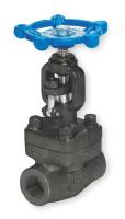 1PRL3 Globe Valve, Class 800, 1-1/4 In., FNPT