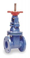 1RCZ1 Gate Valve, Class 250, 2-1/2 In.