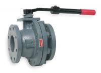 1RDD1 Cast Iron Ball Valve, Flanged, 2-1/2 In