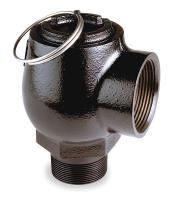 1RXD3 Safety Relief Valve, 1-1/2 x 2 In, 15 psi