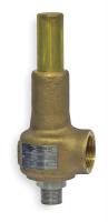 1RYB6 Safety Relief Valve, 1 x 1-1/2 In, 400 psi