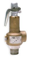 1RXB6 Safety Relief Valve, 2 x 2-1/2 In, 150 psi