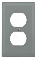 1RYN5 Raceway, Single Receptacle Cover, Gray