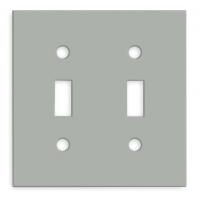 1RYZ8 Steel Plate, Two Gang Switch, Gray