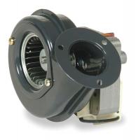 1TDN1 Shaded Pole Blower, 115 Volt