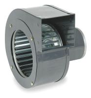 1TDR1 PSC Blower, 230 Volt