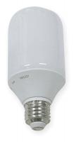 1TGK5 Screw-In CFL, 20W, T19, Medium