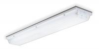 1THP3 Enclosed Linear Fluorescent, 2 Lamp, 17W
