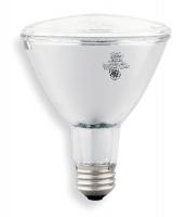 1TJR2 Ceramic Metal Halide Lamp, PAR30L, 20W