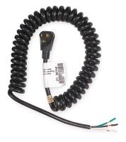 1TNB8 Power Cord, Coiled, 10Ft, SJT, 15A