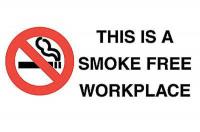 1TX76 No Smoking Sign, 10 x 14In, R and BK/WHT
