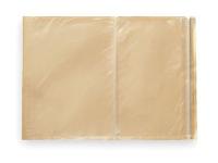 1TZX1 Packing List Envelope, Clear, PK 500