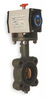 1WDY2 Butterfly Valve, Dbl Acting, Cast Iron, 4In