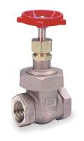 1WED1 Gate Valve, Class 300, 1/4 In.