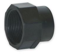 1WJC6 Fitting Cleanout Adapter, 1 1/2 In, ABS