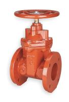 1WPD5 Gate Valve, Class 125, 2-1/2 In., Flange