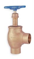 1WPU5 Angle Globe Valve, Class 125, 3/8 In.