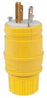 1X976 Plug, 5-15 NEMA