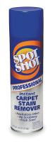 1XEG7 Spot and Stain Remover, 18 oz., PK 12