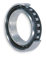 4ZXX1 Cylindrical Bearing, 60mm Bore, 130mm OD